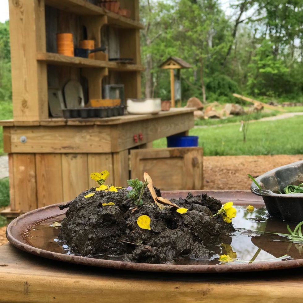 PlaceBased Education 2022 The Rockfish Valley Foundation As Big As