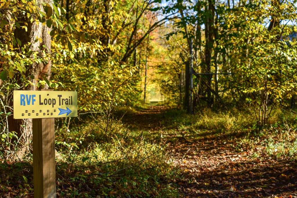 RVF Trail In Fall